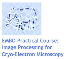 EMBO course